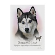 TRADEMARK FINE ART Howard Robinson 'Siberian Husky' Canvas Art, 24x32 ALI24140-C2432GG